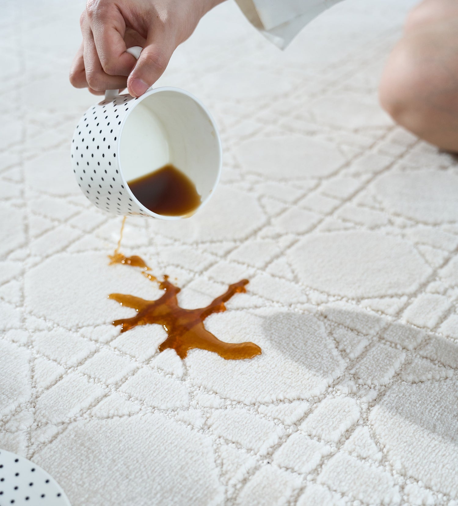 Waterproof & Stain-Resistant Rug